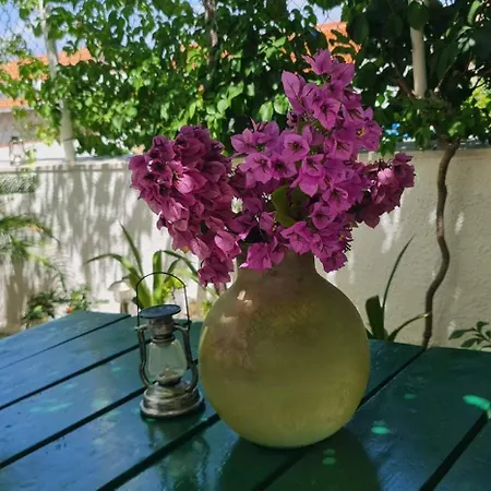 Guest house Lidija